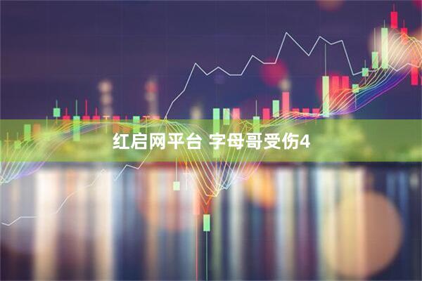 红启网平台 字母哥受伤4