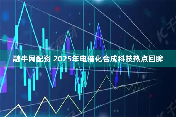 融牛网配资 2025年电催化合成科技热点回眸